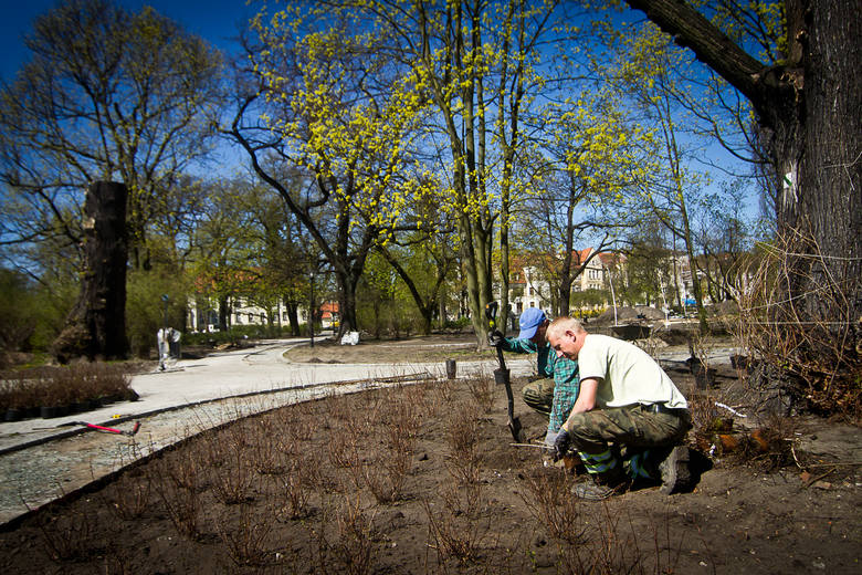 Kwiecień 2015 - w Kochanowskim robi się już zielono