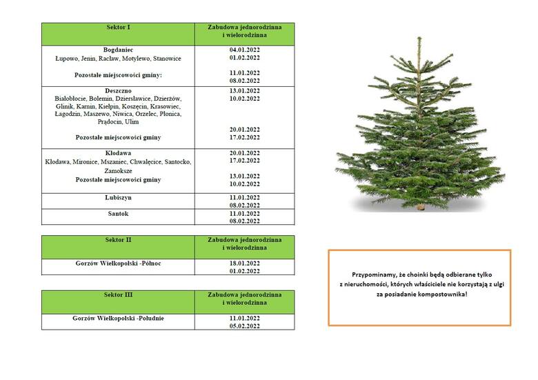 Harmonogram odbioru świątecznych drzewek w Gorzowie i okolicach.
