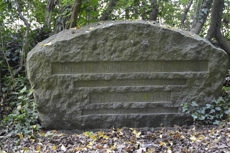W parku można jeszcze znaleźć pamiątki po dawnym cmentarzu