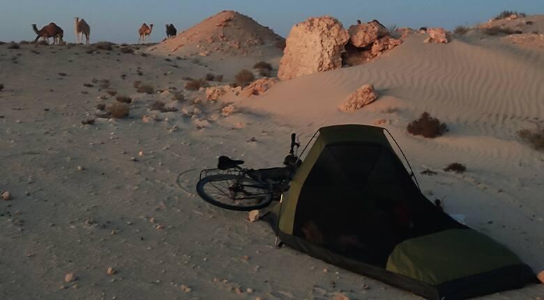 Namiot na pustyni, w tle wielbłądy