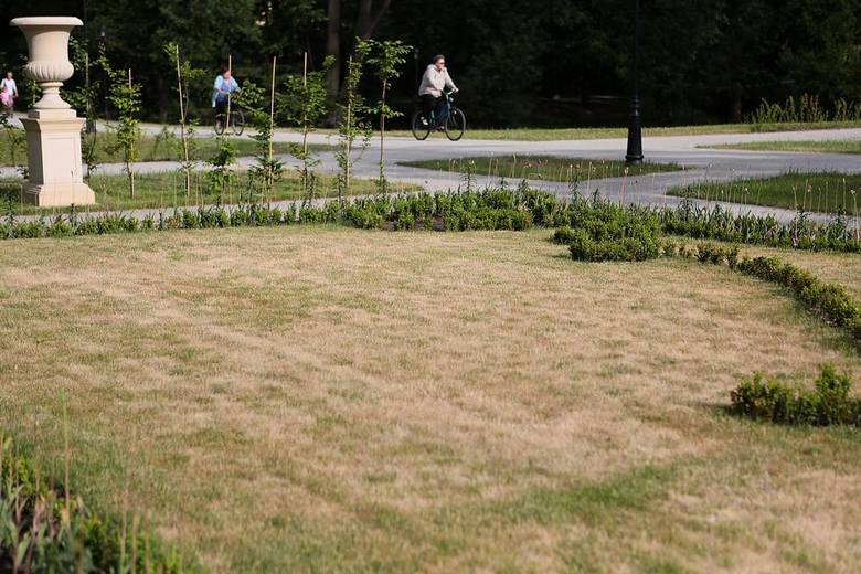 Schnie młoda trawa i krzewy w zabytkowym parku w Skierniewicach [ZDJĘCIA]
