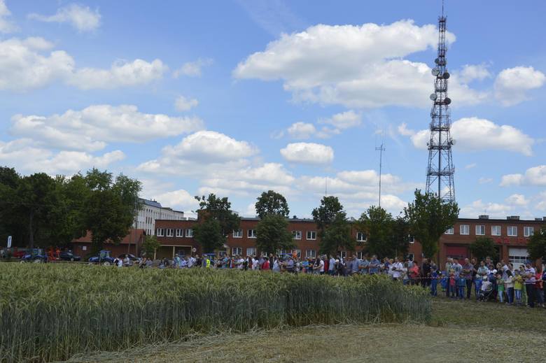 Piknik rodzinny w ZSP nr 2 w Łowiczu (Zdjęcia)