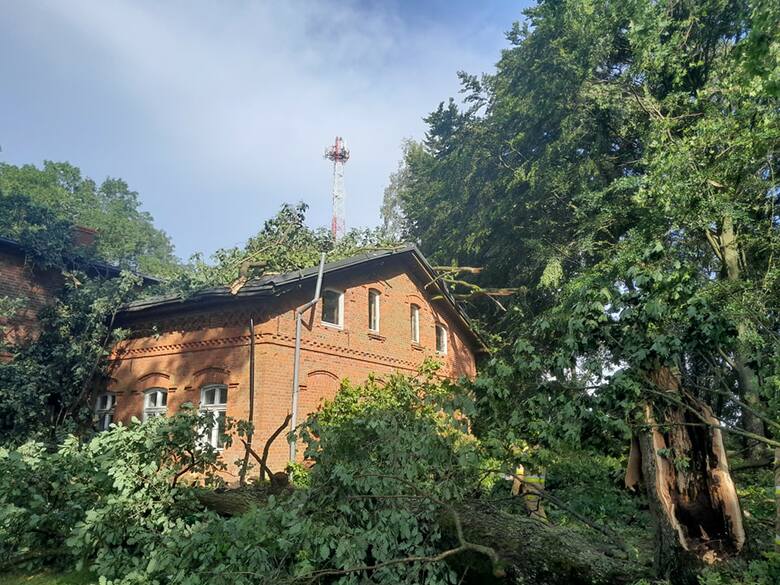 W miejscowości Pokrzywy drzewo przewróciło się na dom mieszkalny . fot. OSP Biskupnica
