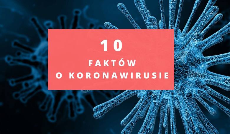 Koronawirus. Fakty i mity. 10 rzeczy, które wiemy i 10, których nie wiemy o wirusie z Wuhan. Epidemia w Chinach