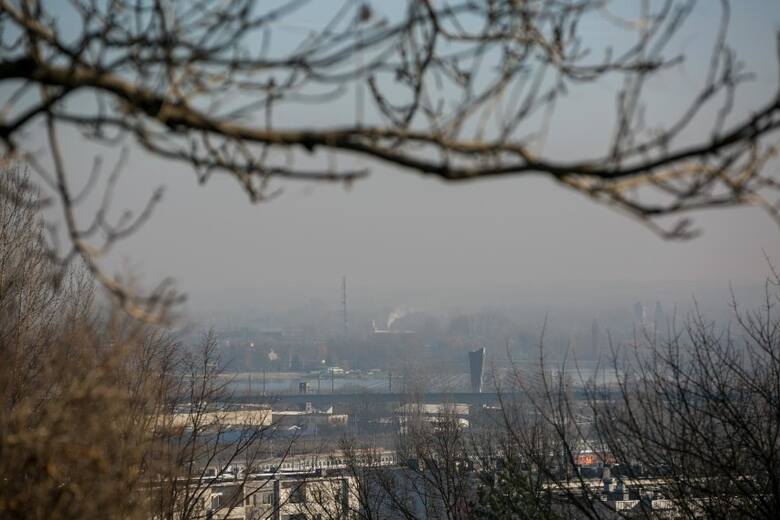 Smog problemem w małopolskich uzdrowiskach. Nie mają podstaw do pobierania opłat klimatycznych?