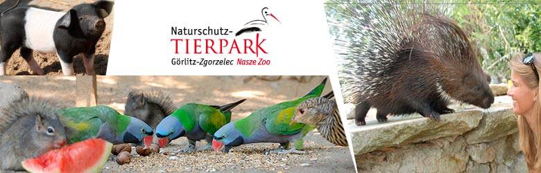Maluchy będą mogły odwiedzić Zoo w Görlitz - Zgorzelec, nagrodą jest jednodniowy bilet rodzinny (2+2) do zrealizowania w dowolnym terminie. Wartość nagrody