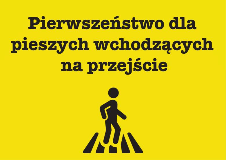 Coraz więcej osób ginie na przejściach dla pieszych. Ruchy miejskie z całej Polski apelują o zmianę przepisów Kodeksu Drogowego