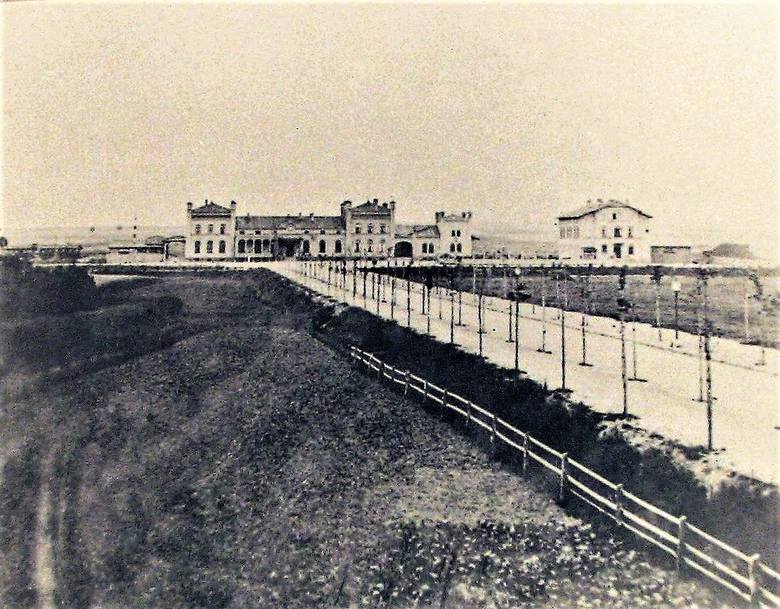 Prawdopodobnie najstarsze zdjęcie obecnej alei Wojska Polskiego z ok. 1880 r.  gdy na mokradłach pomiędzy dworcem kolejowym a starym miastem nasadzono dwa rzędy lip