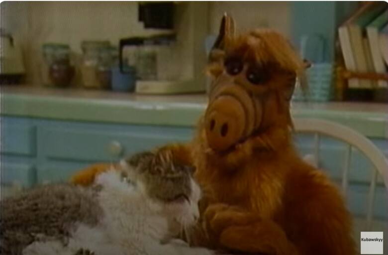 Serial był dedykowany całym rodzinom i opowiadał o przygodach kosmity o imieniu "Alf", który zamieszkał w domu jednej z amerykańskich