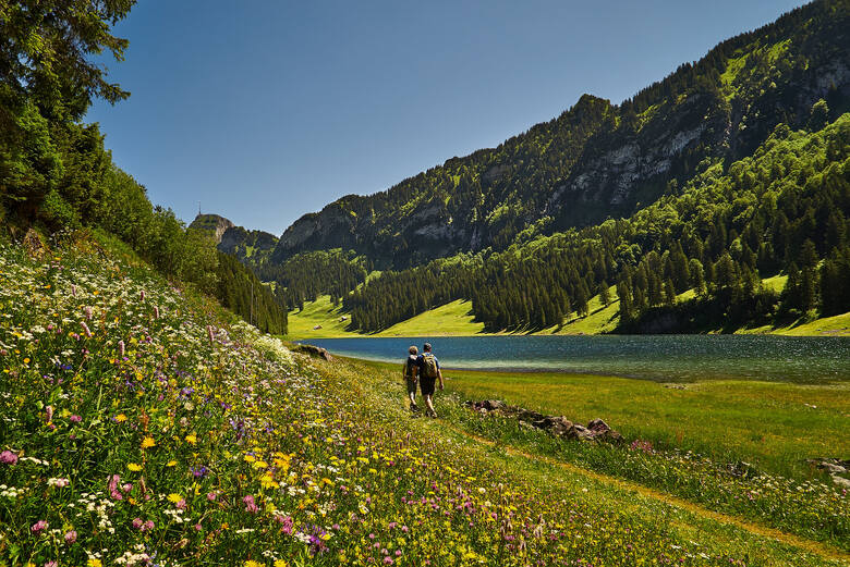 Turyści spacerujący po terenach Alp Szwajcarskich