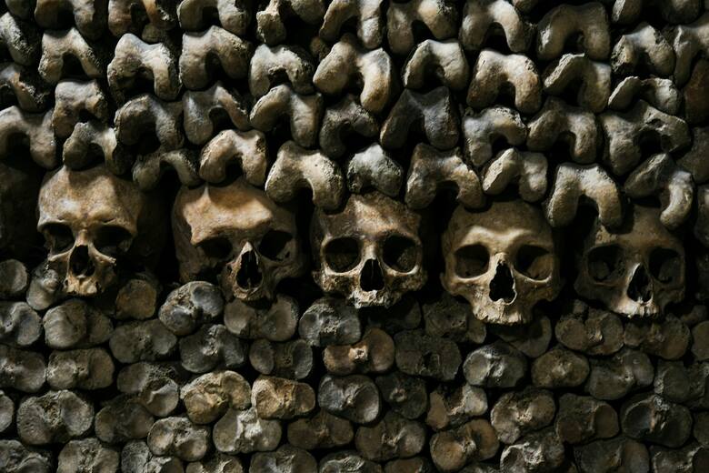 Ściana z kości w paryskich katakumbach