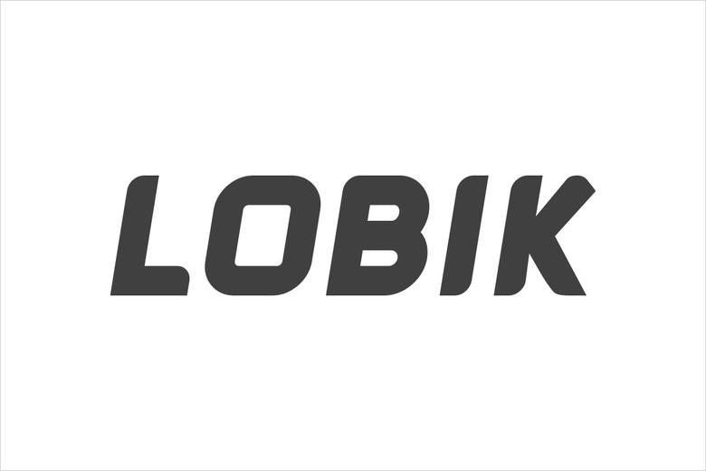 Firma LOBIK - tynki dekoracyjne                         