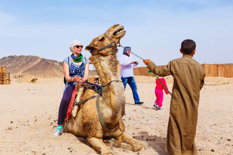 Rząd Egiptu zdecydował się zlikwidować przejażdżki na wielbłądach. Pierwsza zapowiedź zakazu padła w 2020 r., ale plany zostały odłożone przez pandemię