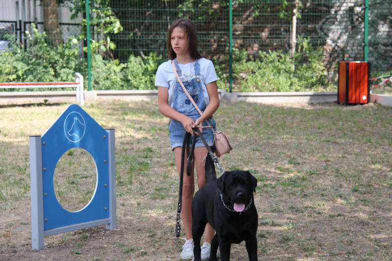 W lipcu br. trzeci wybieg dla psów w Czeladzi został otwarty na osiedlu Auby 