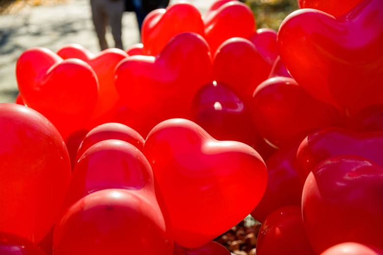 2,5 tysiąca cebulek czerwonych tulipanów i ponad setka czerwonych balonów puszczonych w niebo. To efekt edukacyjnej – kolejnej już akcji stowarzyszenia Pro Salute. - Chcemy, by jak najwięcej ludzi usłyszało o dystrofii mięśniowej – mówi prof. Elżbieta Krajewska-Kułak, szefowa stowarzyszenia,...