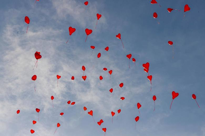 2,5 tysiąca cebulek czerwonych tulipanów i ponad setka czerwonych balonów puszczonych w niebo. To efekt edukacyjnej – kolejnej już akcji stowarzyszenia Pro Salute. - Chcemy, by jak najwięcej ludzi usłyszało o dystrofii mięśniowej – mówi prof. Elżbieta Krajewska-Kułak, szefowa stowarzyszenia,...