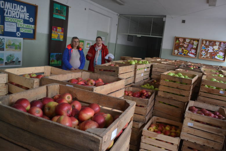 Pani Justyna Kruk i Justyna Tomala odebrały w czwartek przysługującą im porcję jabłek. Każdemu przysługuje 20 kilogramów tych smacznych owoców!