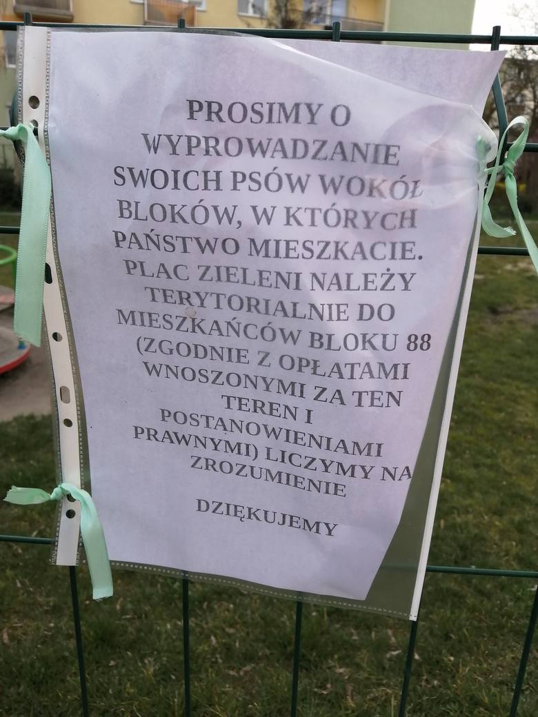 Mieszkańcy jednego z bloków przy ul. Skłodowskiej-Curie poprosili o wyprowadzanie psów wyłącznie wokół bloków, w których mieszkają właściciele pupil