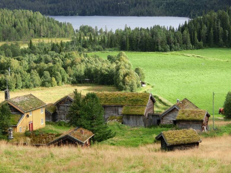 Dachy pokryte darnią i roślinnością to tradycyjne rozwiązane, stosowane od dawna w Skandynawii. Obecne systemy różnią się oczywiście od dawnych, ale