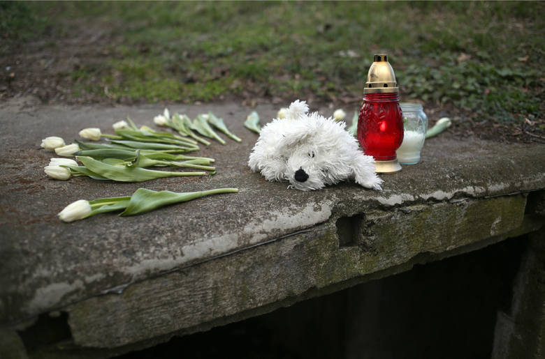 Biegli ocenią sprawę Mariusza L., który zabił 5-letnią córkę Milenkę