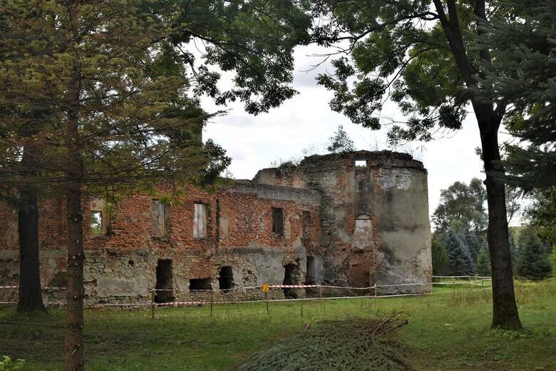 Pozostałości zamku Fredrów we Fredropolu. W ich otoczeniu ma powstać Twierdza Wykluczonych, ośrodek dla rehabilitowanych zwierząt.