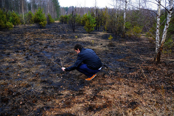 Największy pożar traw wybuchł dzisiaj w rejonie ul. Józefiaka i ul. Nery.