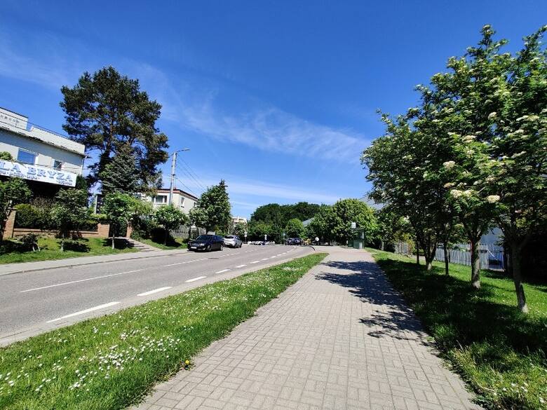 Gdzie na wiosenny spacer w Gdyni?