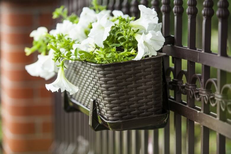 Wybierając pojemniki na kwiaty, zwróćmy też uwagę na to, żeby pasowały stylem do naszego domu i ogrodu.