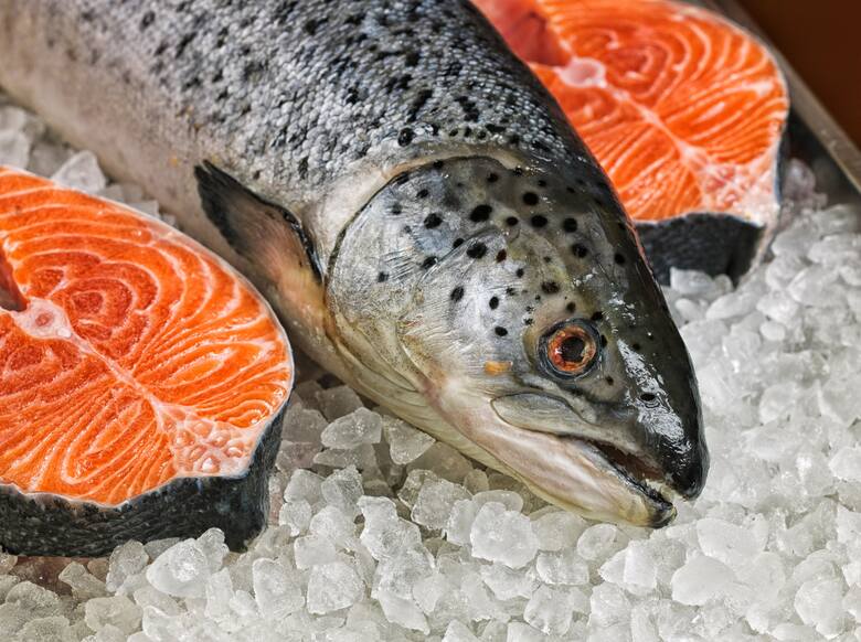 Zbliżenie na głowę ryby i pomarańczowe w kolorze dzwonka łososia