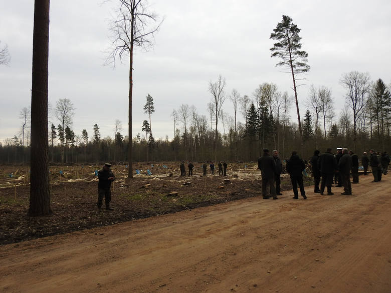 Sadzenie drzew wyglądało jak czyn społeczny w PRL-u. Oprócz leśników, brali w nim udział m.in. strażacy