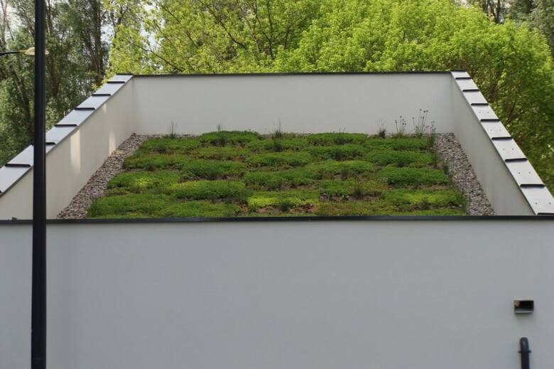 Dach zielony nad garażem to dodatkowa powierzchnia biologicznie czynna. I atrakcyjny element architektoniczny.
