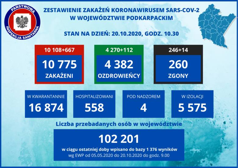 Nie żyje 14 mieszkańców Podkarpacia, kolejne 667 jest zakażonych. W Polsce ponad 9 tysięcy przypadków, 107 zgonów [20 PAŹDZIERNIKA]