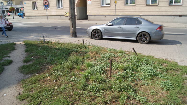 Zaniedbany trawnik przy ul. Żwirki [ZDJĘCIA] 