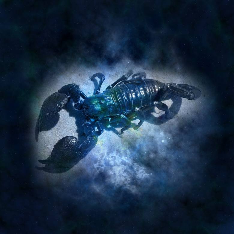 Horoskop dzienny skorpion