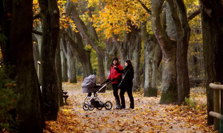 Park Północny w Sopocie to idealne miejsce na spacer. Zlokalizowany tuż przy morzu oraz przy ulicy Bohaterów Monte Casino daje poczucie przebywania na