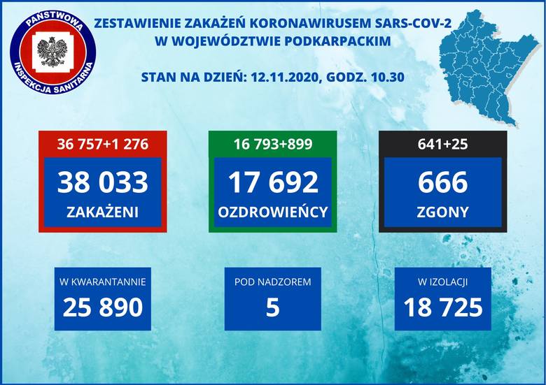 1276 zakażeń na Podkarpaciu. W Polsce 22 683 nowych przypadków i 275 zgonów [RAPORT 12.11]
