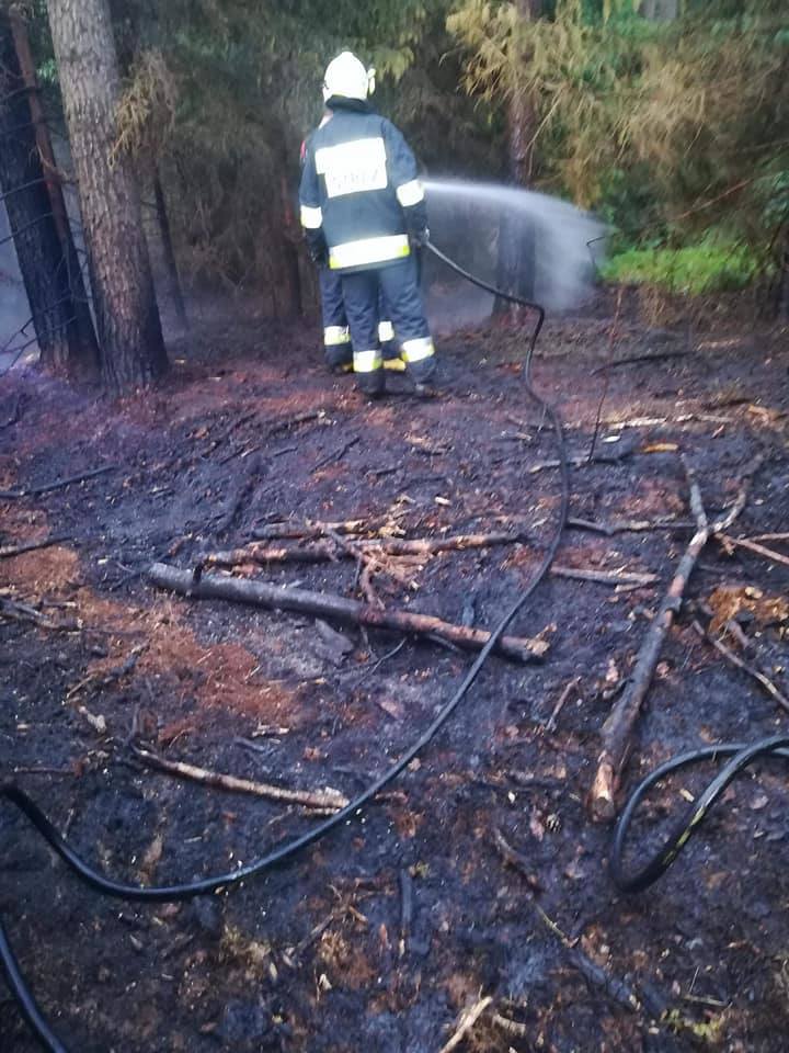 Strażacy w Lubuskiem od początku maja gasili pożary lasów już 65 razy.