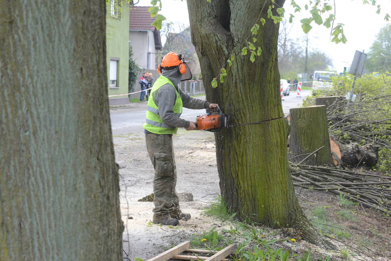 Prace na ul. Chrobrego zaczęły się miesiąc temu wycinką drzew.