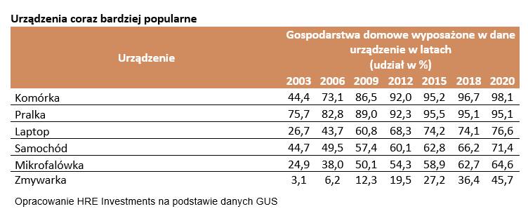 Polacy mają coraz mniej telewizorów, a coraz więcej innych sprzętów. Jakich?