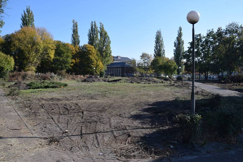 W Nowej Soli szykowany jest plac pod budowę krytej pływalni. Zniknęła część drzew i krzewów