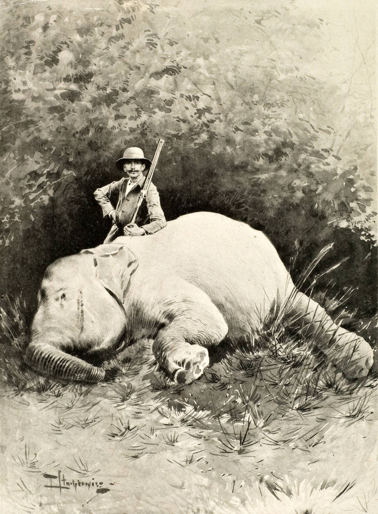 Piotr Stachiewicz, Józef Potocki na polowaniu na Ceylonie, Repr. Tom II "Ceylon", Warszawa 1896.