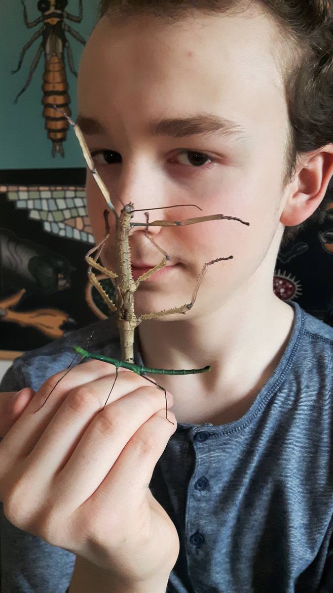Kajetan Bielicki ma 14 lat. Pasjonuje się owadami i biologią. Chce w przyszłości zdobyć nagrodę Nobla.