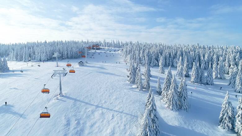 Zieleniec to teraz dzielnica Dusznik-Zdroju. Znajduje się tu stacja narciarska, w której działa zima 48 wyciągów. Są tu doskonałe warunki do uprawiania