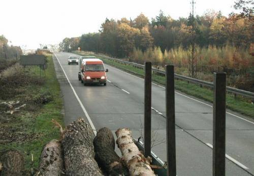 Fot. Irek Dorożański: Za uszkodzenie samochodu spowodowane zderzeniem ze zwierzęciem łownym, np. dzikiem, można dochodzić odszkodowania, ale w pewnych