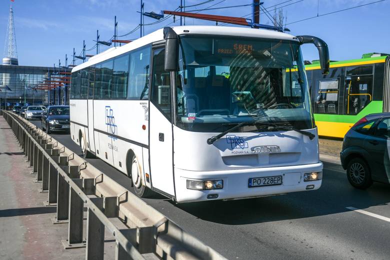 Część połączeń autobusowych realizowanych przez PKS Poznań jest bezpieczna. Miejska spółka w najbliższych miesiącach będzie funkcjonować tak, jak do tej pory, a później zamieni się związek powiatowo-gminny. To w dużej mierze zasługa powiatu poznańskiego, który ma zostać jego liderem. 