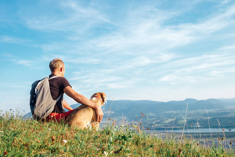 Podczas planowania urlopu z psem należy wziąć pod uwagę, że nie wszystkie wycieczki będą możliwe. W Polsce jedynie 5 parków narodowych umożliwia psom
