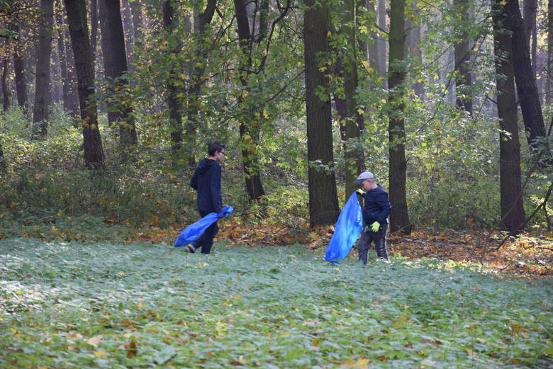 Sprzątanie terenów miejskich, a konktretnie lasu Bila w Skierniewicach [ZDJĘCIA, FILM]