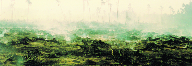 Dziesięć tysięcy hektarów lasów w okolicach Kuźni Raciborskiej w ciągu kilku upalnych sierpniowych dni  1992 roku zamieniło się w pogorzelisko