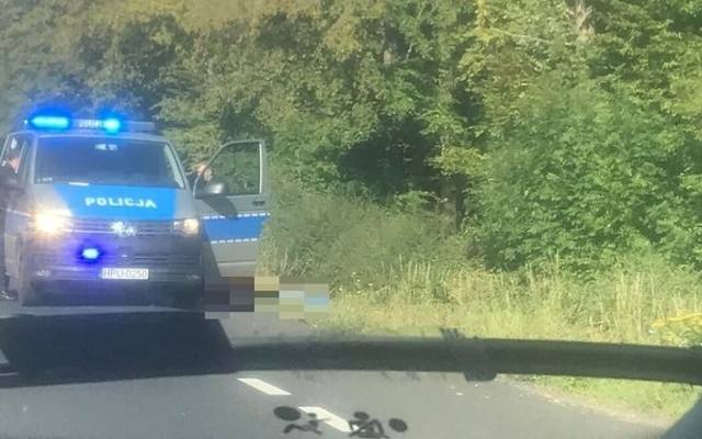 Przy drodze w Ludwinie znaleziono zwłoki kobiety. Obok leżał rower