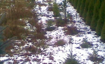 O!O!O! Pierwszy śnieg ! Widok z okna Dorota R